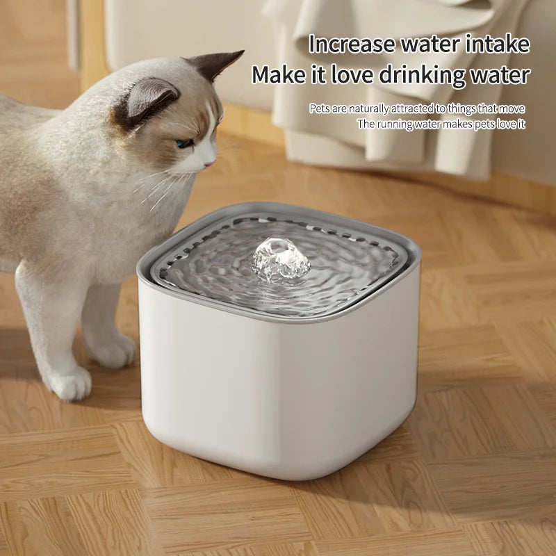 The Kitty Spout