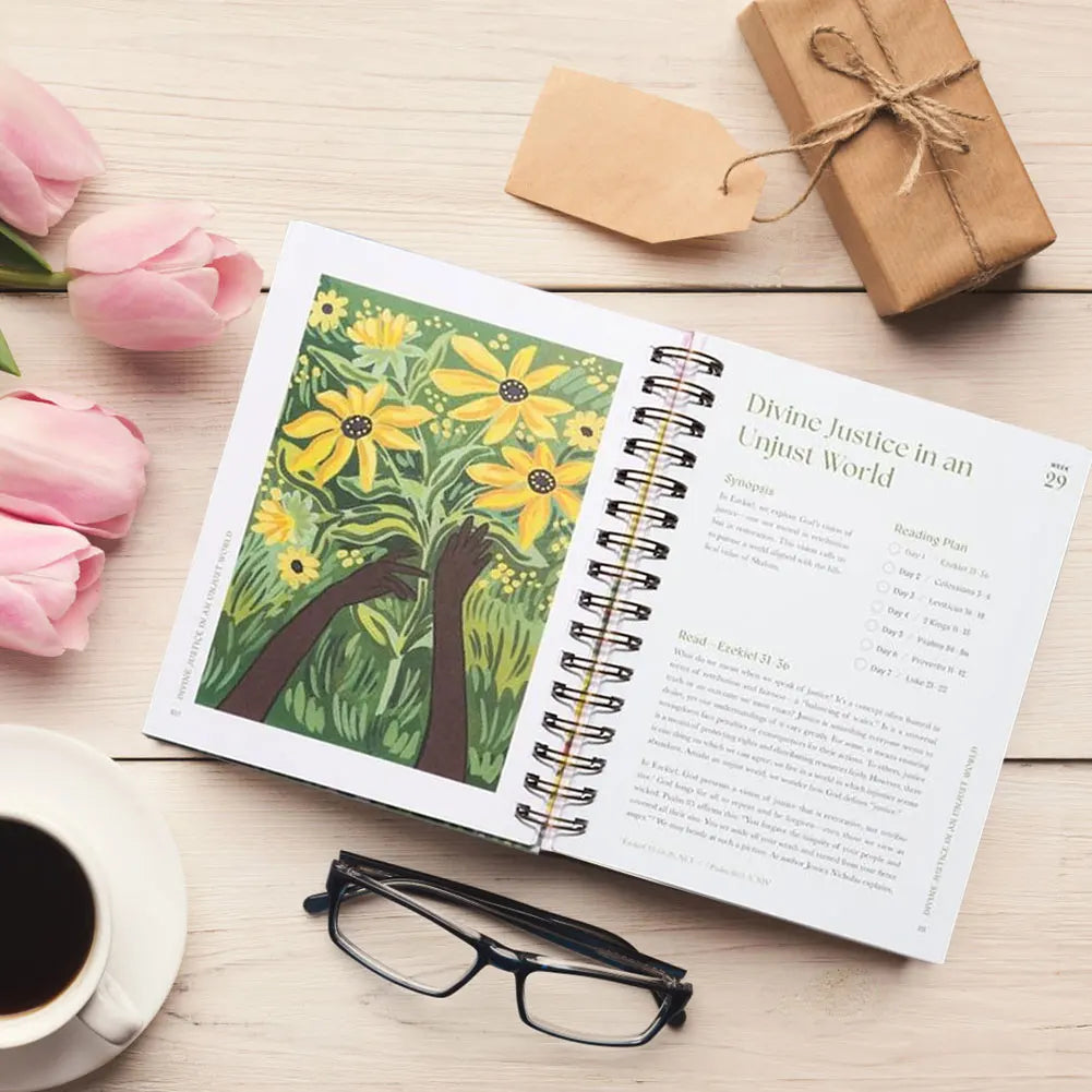 A Beautiful Year In The Bible